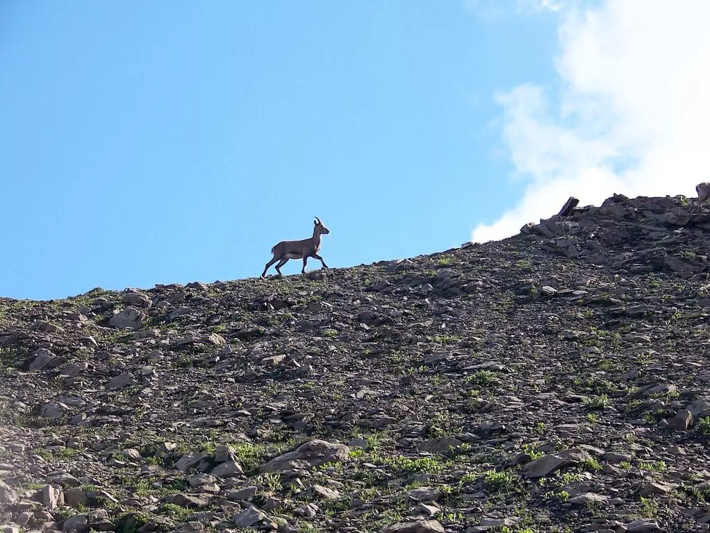 Randonnées et activités au Refuge de Doran