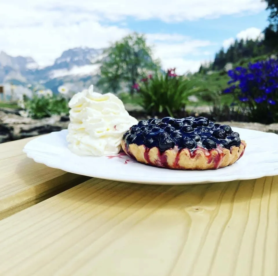 Tarte aux Myrtilles faite maison Refuge de Doran